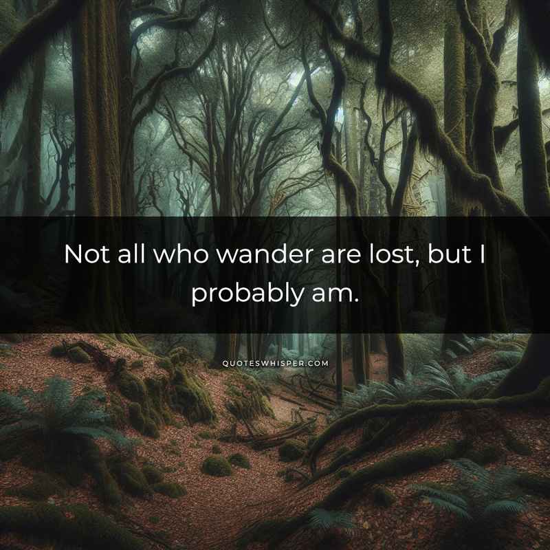 Not all who wander are lost, but I probably am.