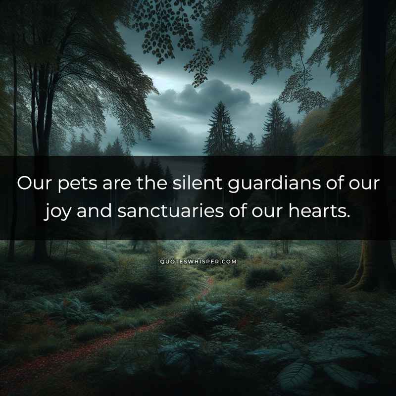 Our pets are the silent guardians of our joy and sanctuaries of our hearts.