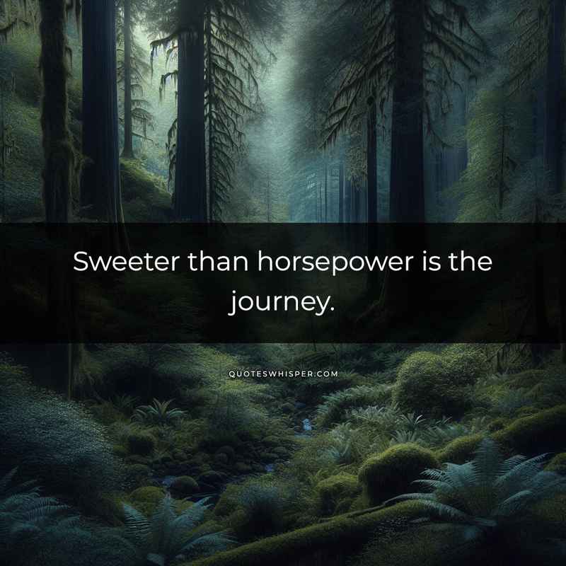 Sweeter than horsepower is the journey.