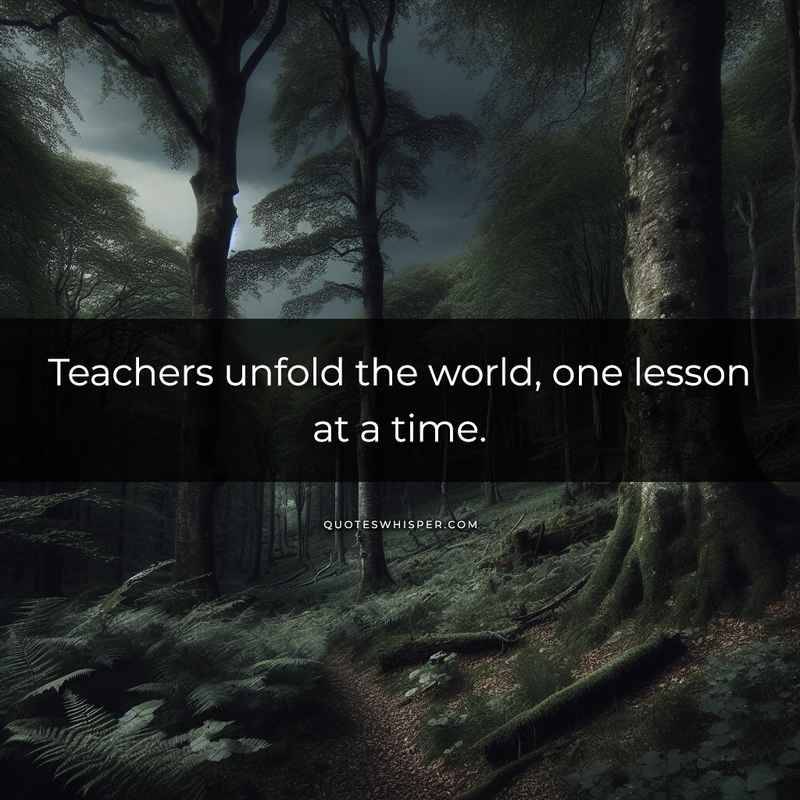 Teachers unfold the world, one lesson at a time.