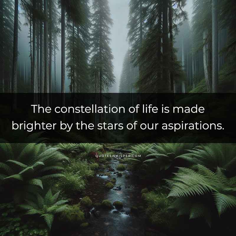 The constellation of life is made brighter by the stars of our aspirations.