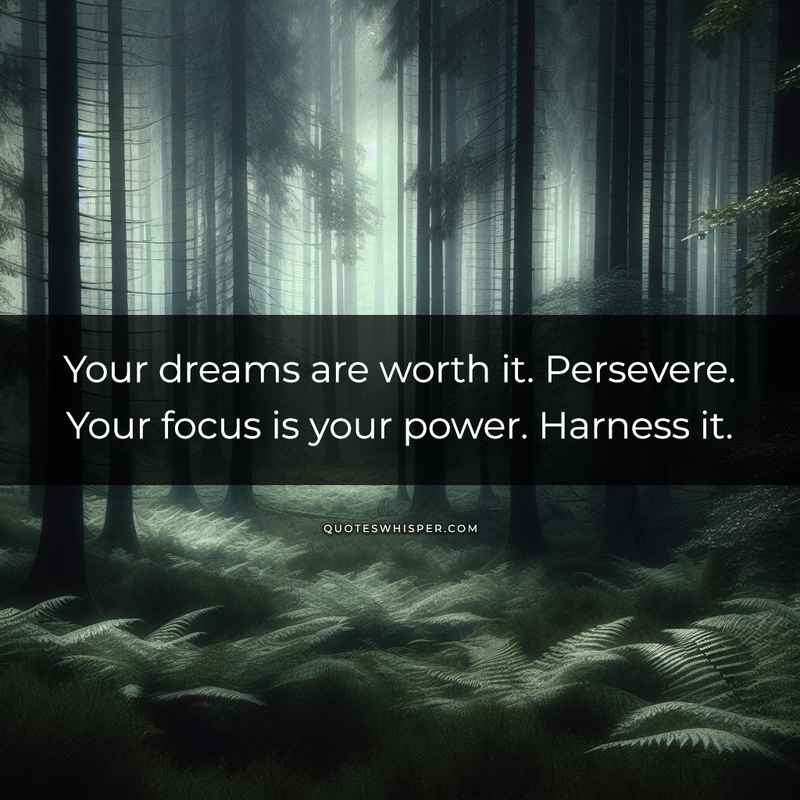 Your dreams are worth it. Persevere. Your focus is your power. Harness it.