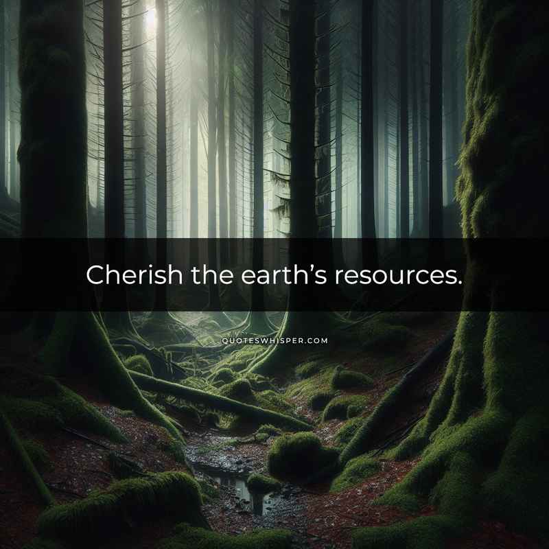 Cherish the earth’s resources.