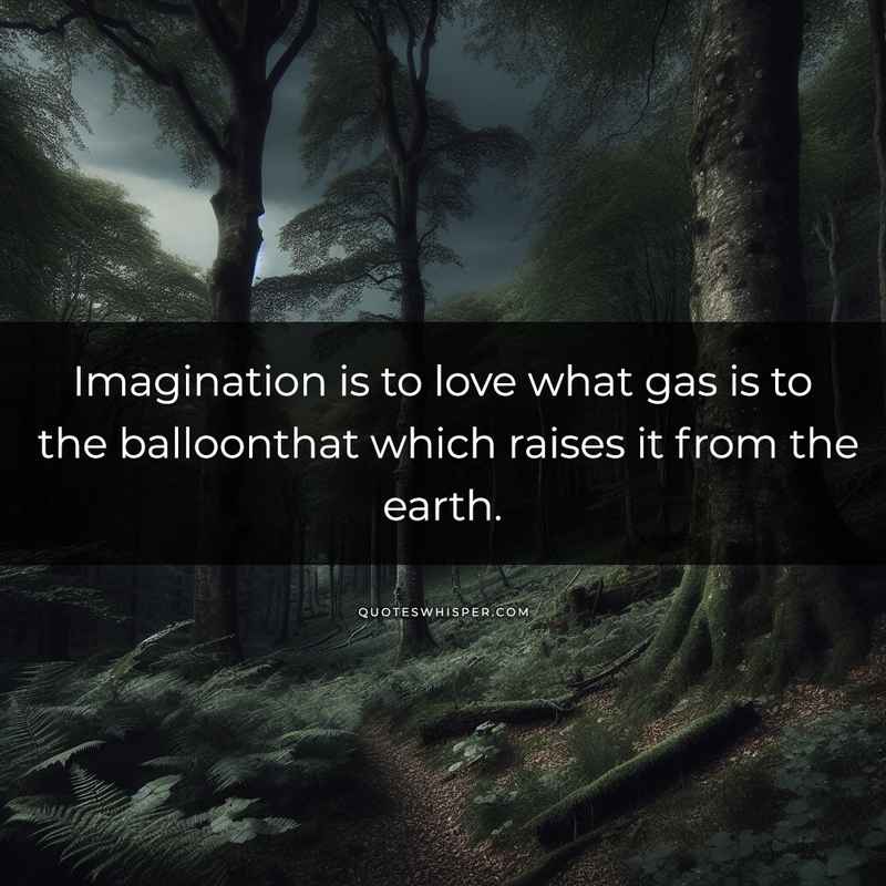 Imagination is to love what gas is to the balloonthat which raises it from the earth.