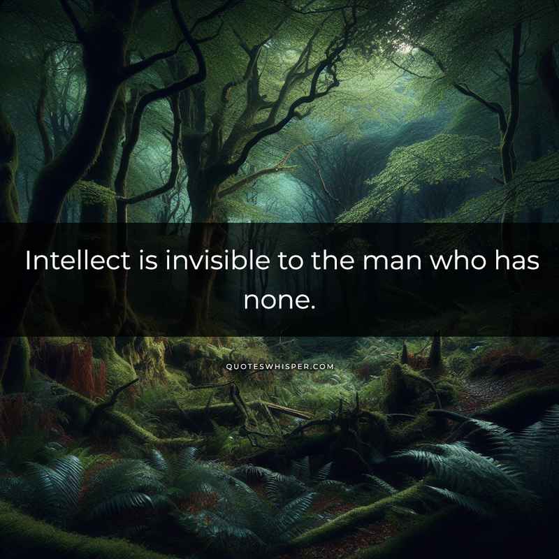 Intellect is invisible to the man who has none.