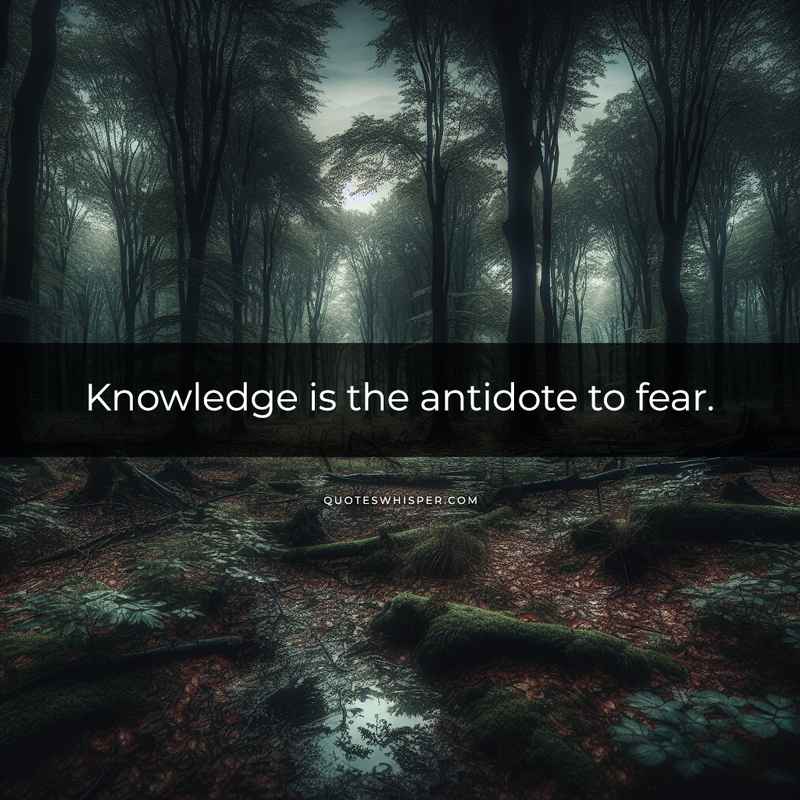 Knowledge is the antidote to fear.
