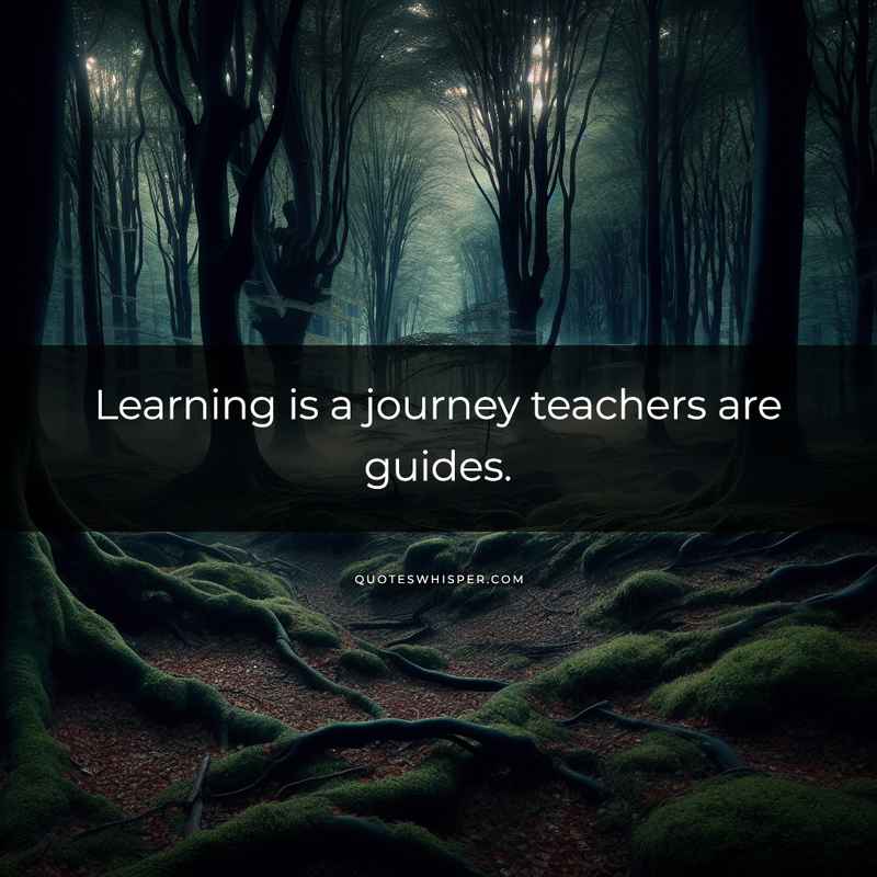 Learning is a journey teachers are guides.