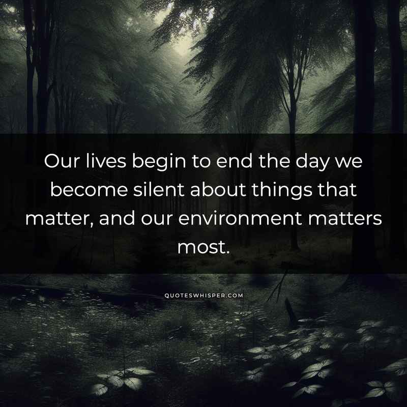 Our lives begin to end the day we become silent about things that matter, and our environment matters most.