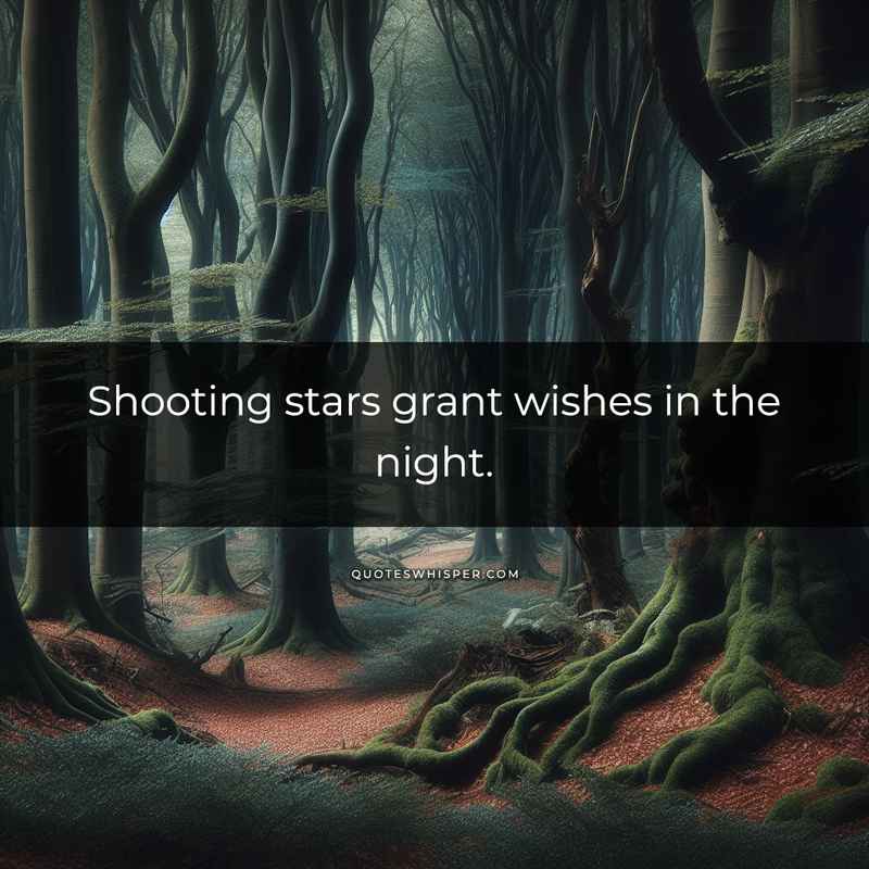 Shooting stars grant wishes in the night.