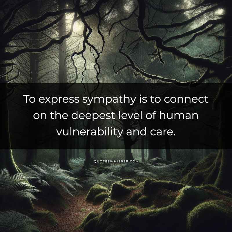 To express sympathy is to connect on the deepest level of human vulnerability and care.