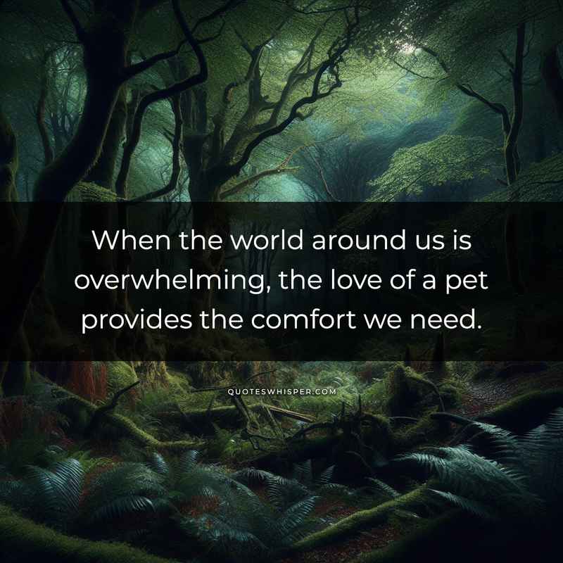 When the world around us is overwhelming, the love of a pet provides the comfort we need.