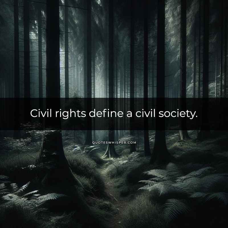 Civil rights define a civil society.