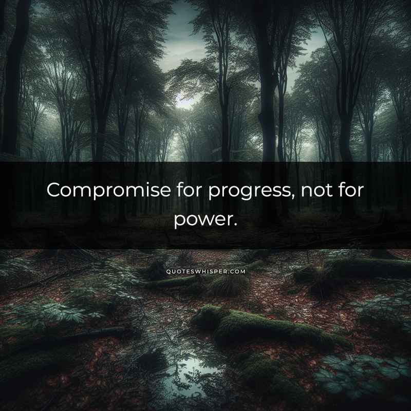 Compromise for progress, not for power.