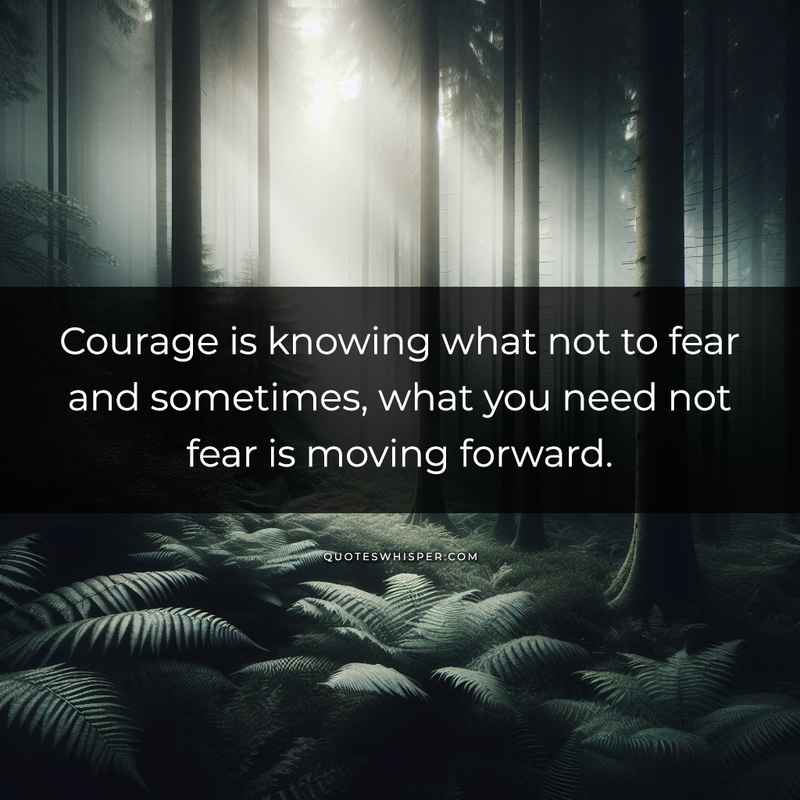 Courage is knowing what not to fear and sometimes, what you need not fear is moving forward.