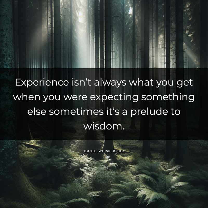 Experience isn’t always what you get when you were expecting something else sometimes it’s a prelude to wisdom.