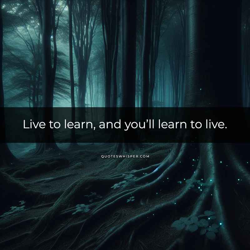 Live to learn, and you’ll learn to live.