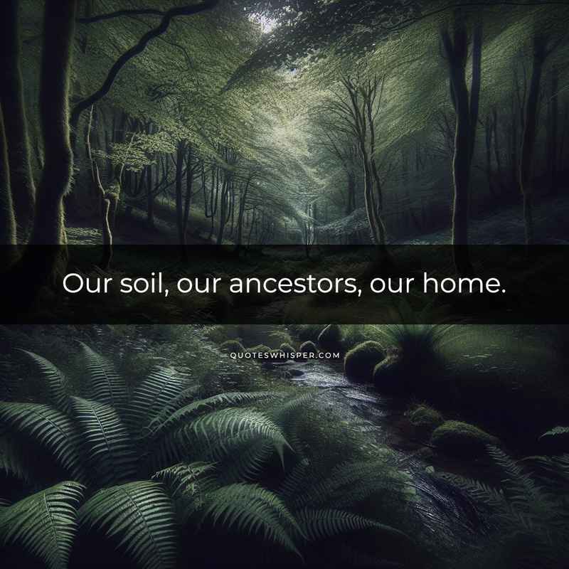 Our soil, our ancestors, our home.