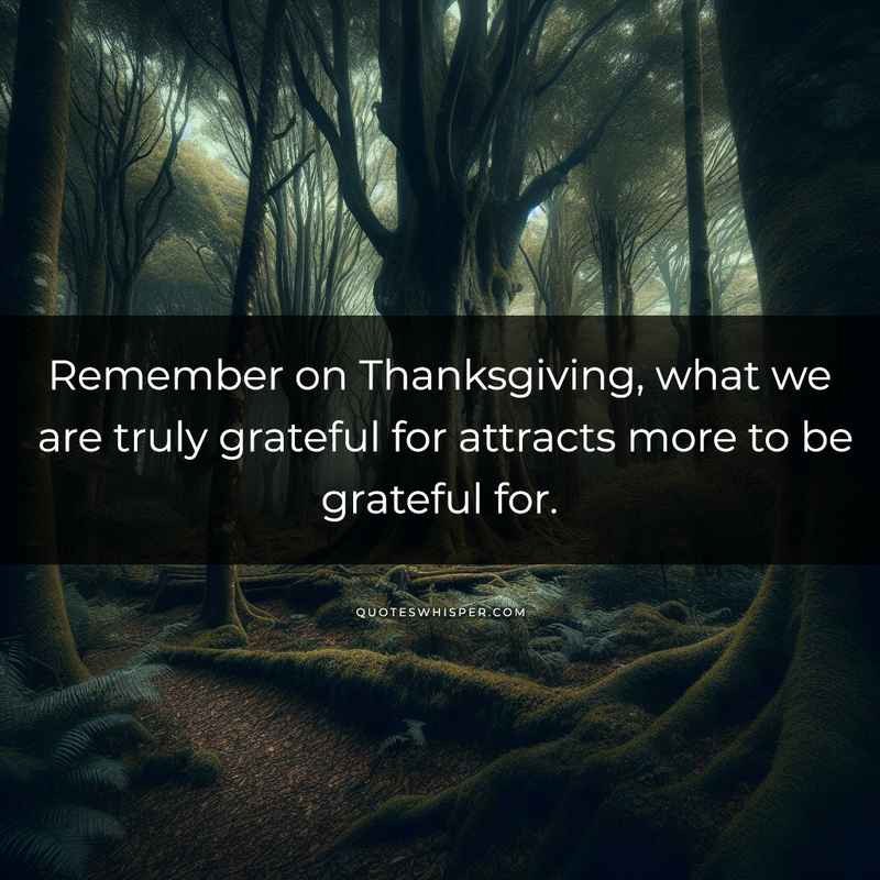 Remember on Thanksgiving, what we are truly grateful for attracts more to be grateful for.