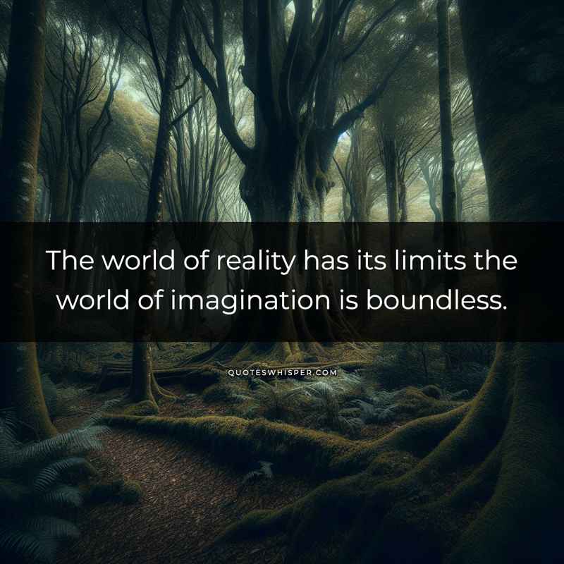 The world of reality has its limits the world of imagination is boundless.