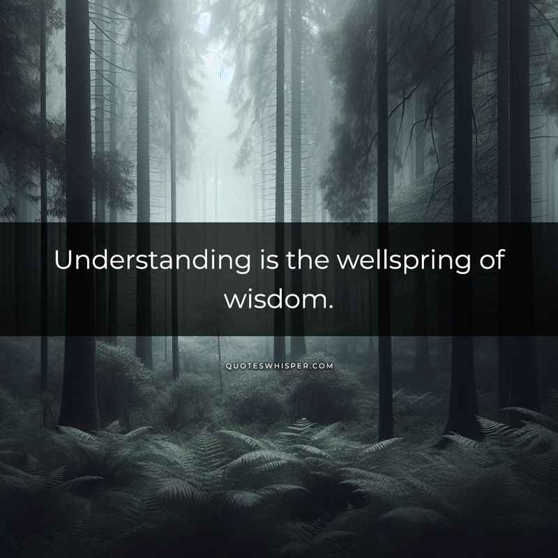 Understanding is the wellspring of wisdom.