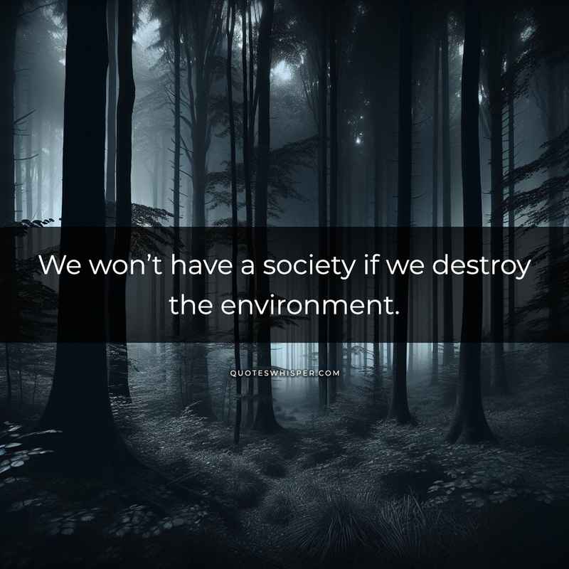 We won’t have a society if we destroy the environment.