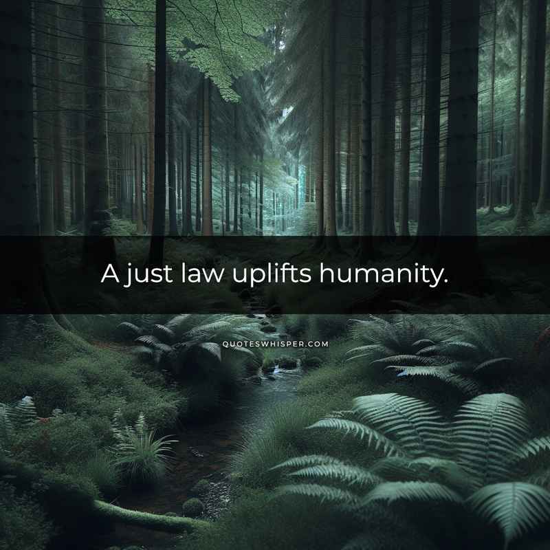 A just law uplifts humanity.