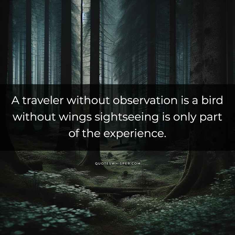A traveler without observation is a bird without wings sightseeing is only part of the experience.