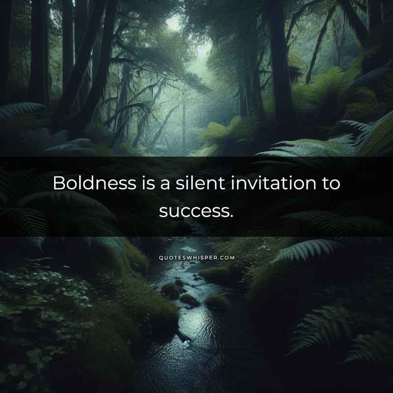 Boldness is a silent invitation to success.