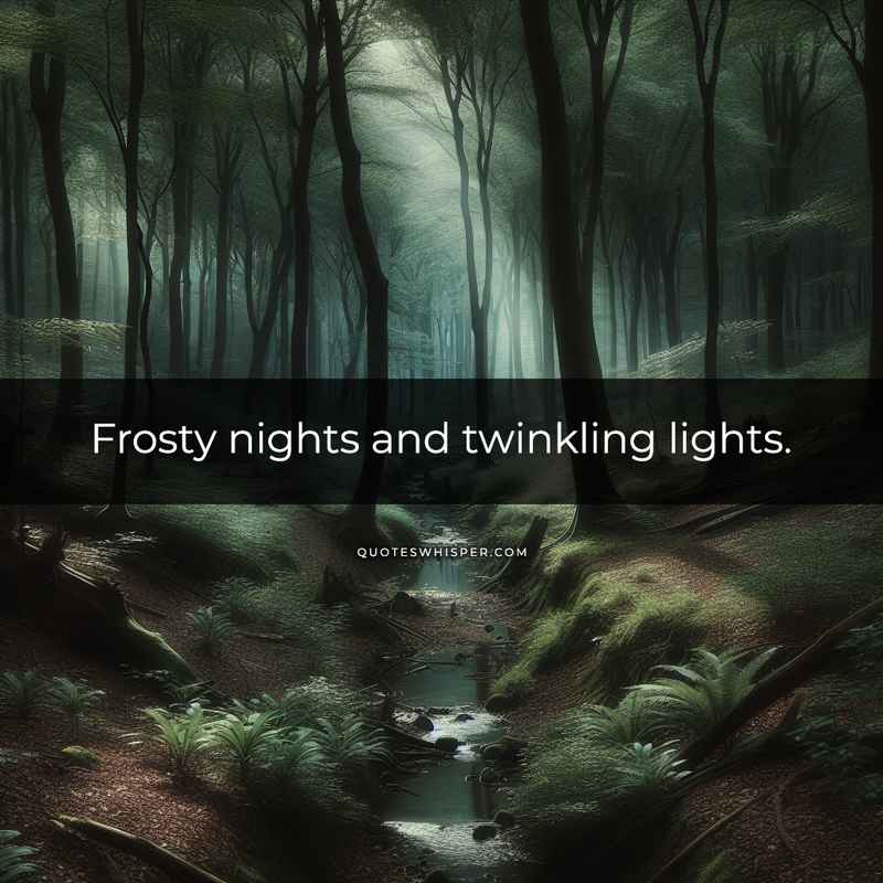 Frosty nights and twinkling lights.