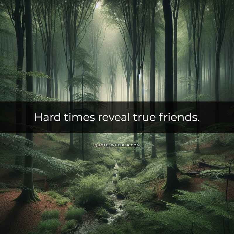 Hard times reveal true friends.