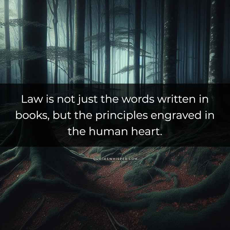 Law is not just the words written in books, but the principles engraved in the human heart.