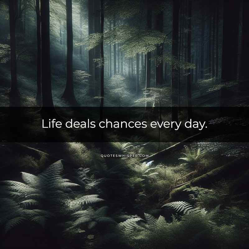 Life deals chances every day.