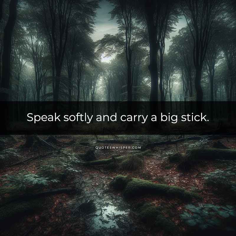 Speak softly and carry a big stick.