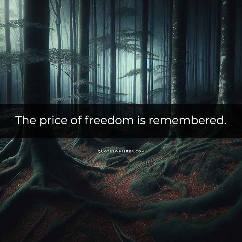 The price of freedom is remembered.
