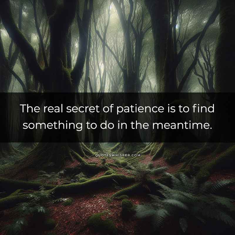 The real secret of patience is to find something to do in the meantime.