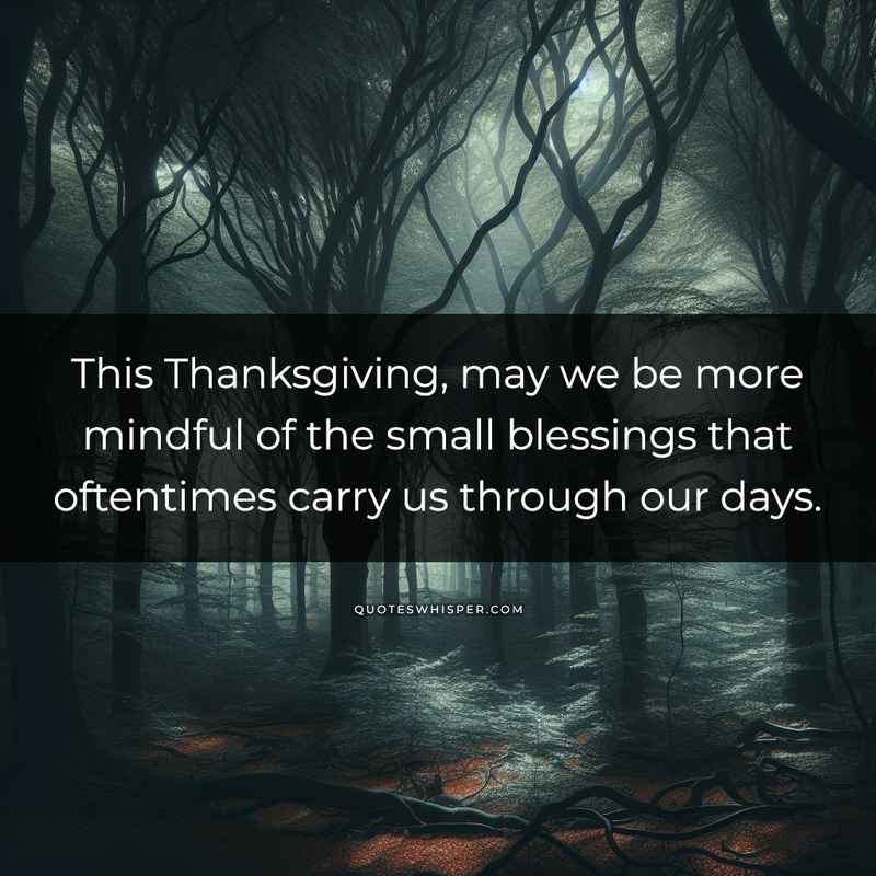 This Thanksgiving, may we be more mindful of the small blessings that oftentimes carry us through our days.