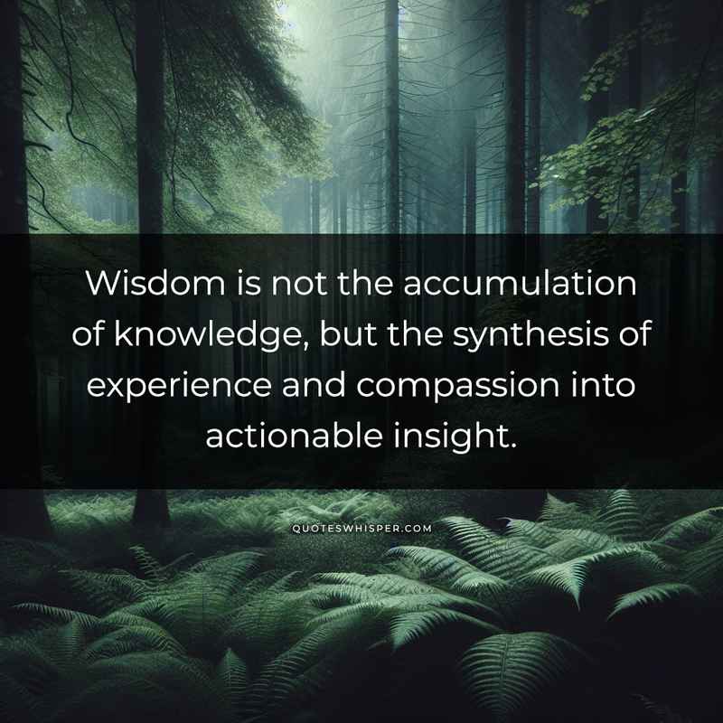 Wisdom is not the accumulation of knowledge, but the synthesis of experience and compassion into actionable insight.