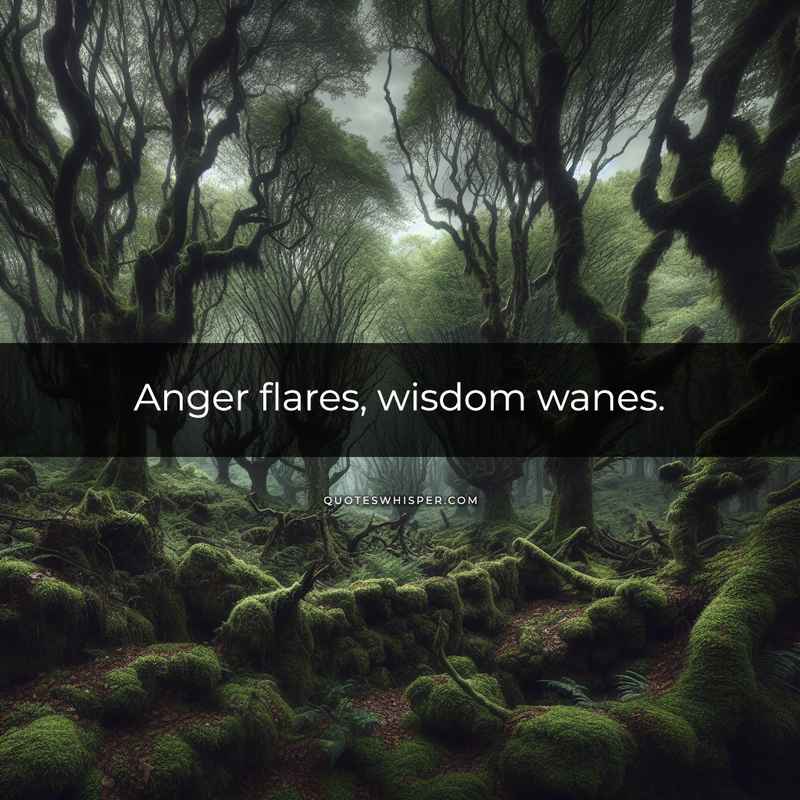 Anger flares, wisdom wanes.