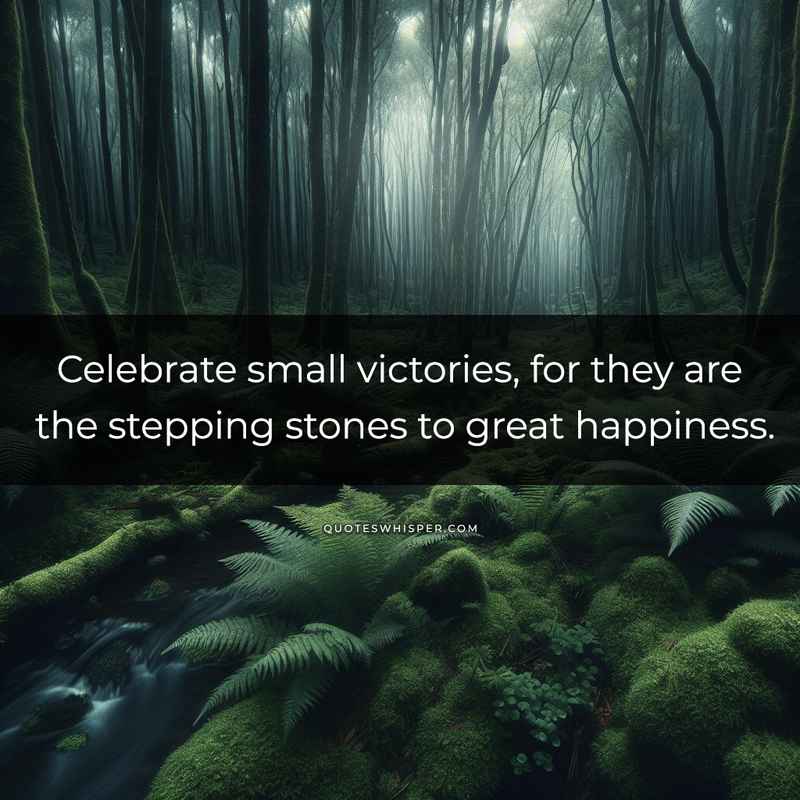 Celebrate small victories, for they are the stepping stones to great happiness.