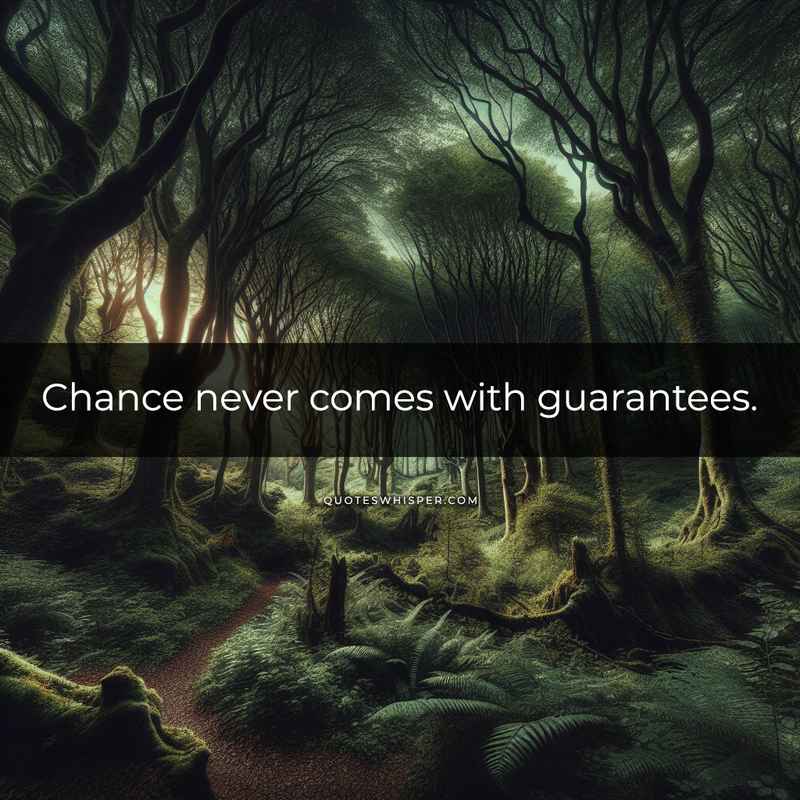 Chance never comes with guarantees.