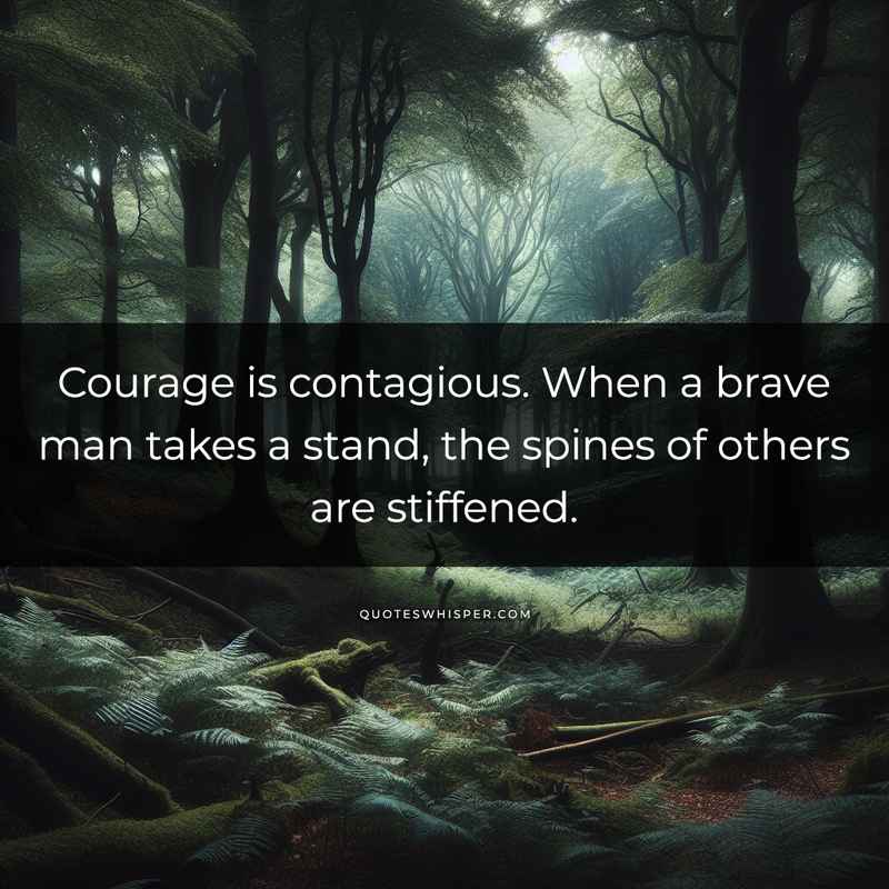 Courage is contagious. When a brave man takes a stand, the spines of others are stiffened.
