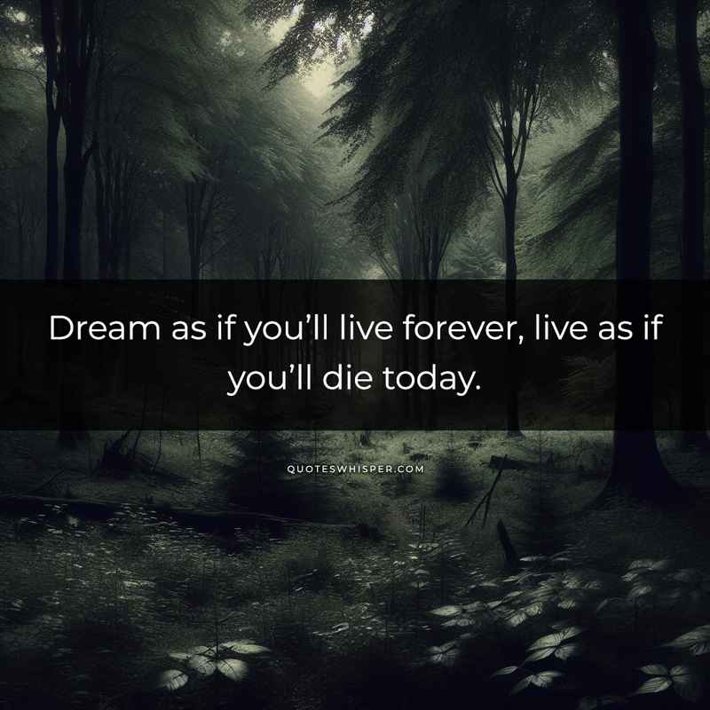 Dream as if you’ll live forever, live as if you’ll die today.