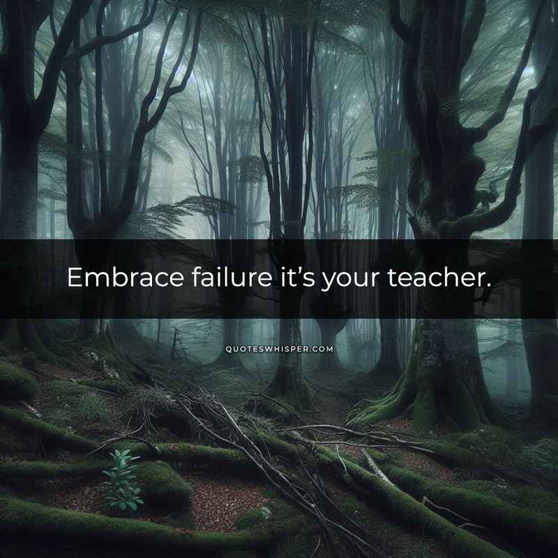 Embrace failure it’s your teacher.
