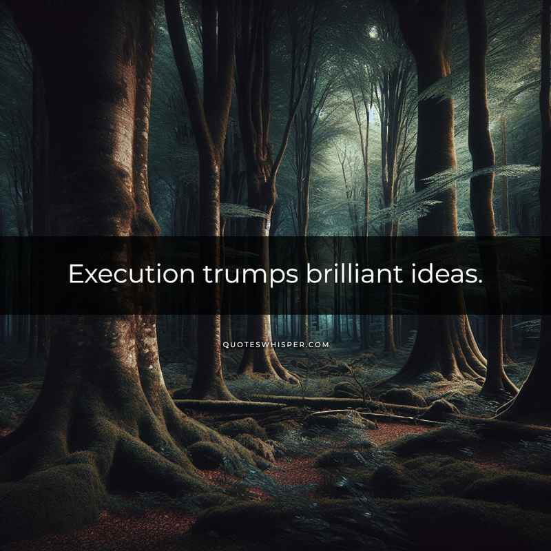 Execution trumps brilliant ideas.
