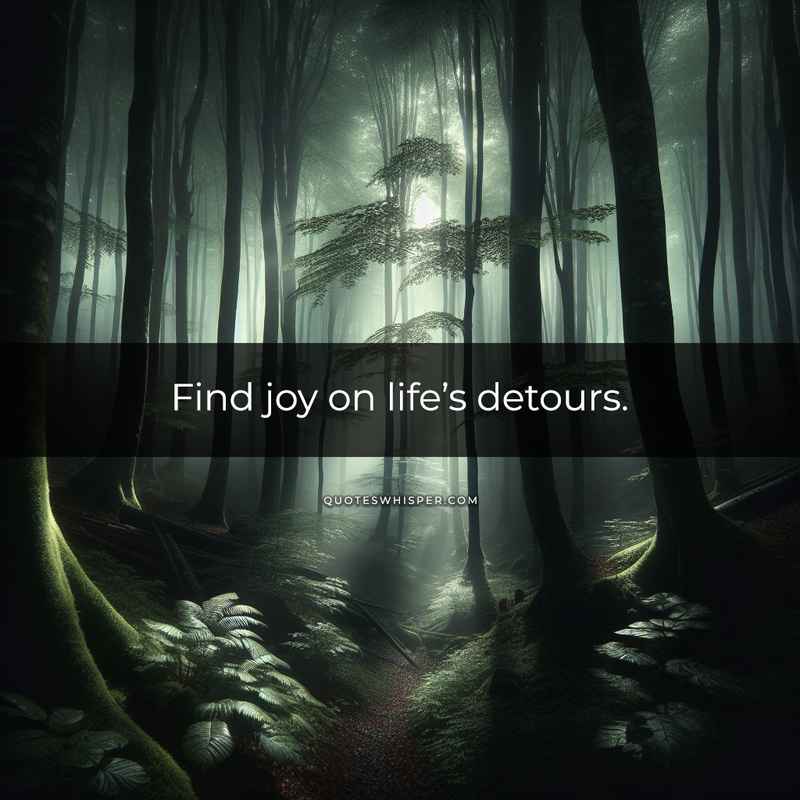 Find joy on life’s detours.