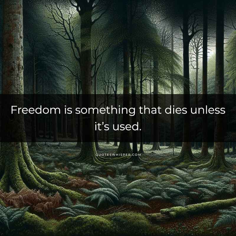 Freedom is something that dies unless it’s used.
