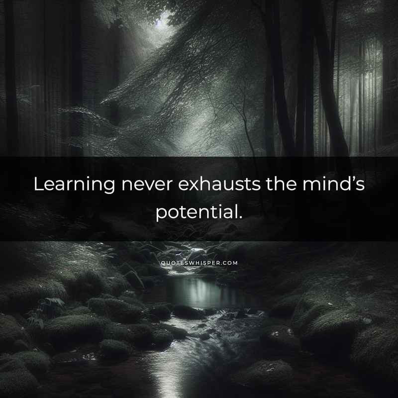 Learning never exhausts the mind’s potential.