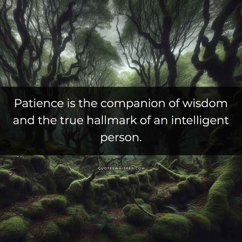 Patience is the companion of wisdom and the true hallmark of an intelligent person.