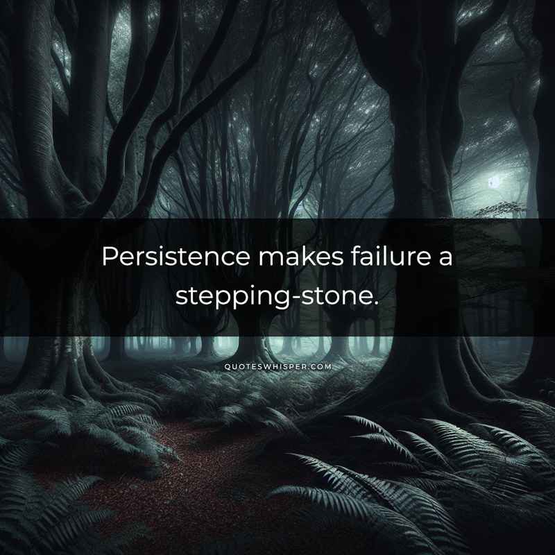 Persistence makes failure a stepping-stone.
