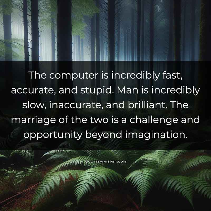 The computer is incredibly fast, accurate, and stupid. Man is incredibly slow, inaccurate, and brilliant. The marriage of the two is a challenge and opportunity beyond imagination.